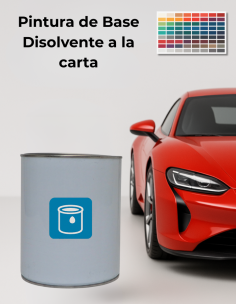 PINTURA AL DISOLVENTE COLOR A LA CARTA BSB LISTA AL USO